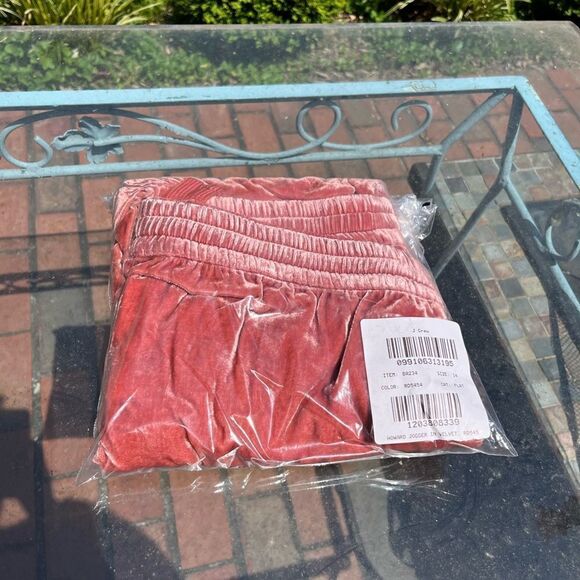 J Crew Velvet Jogger Pants NWT - Picture 2 of 6